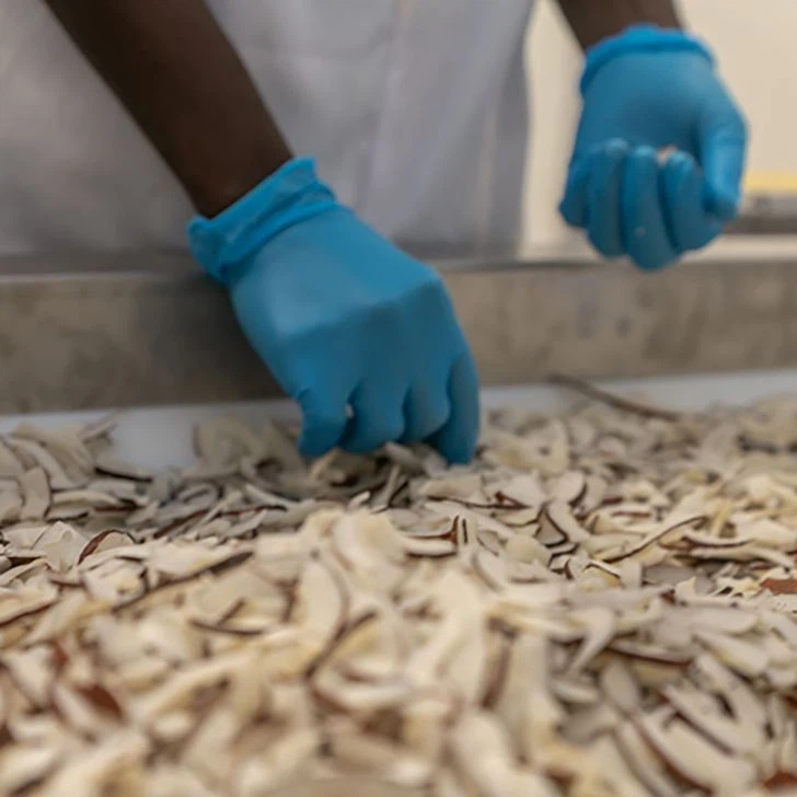 Getrocknete Kokos-Chips: geprüft und für gut befunden (©HPW)