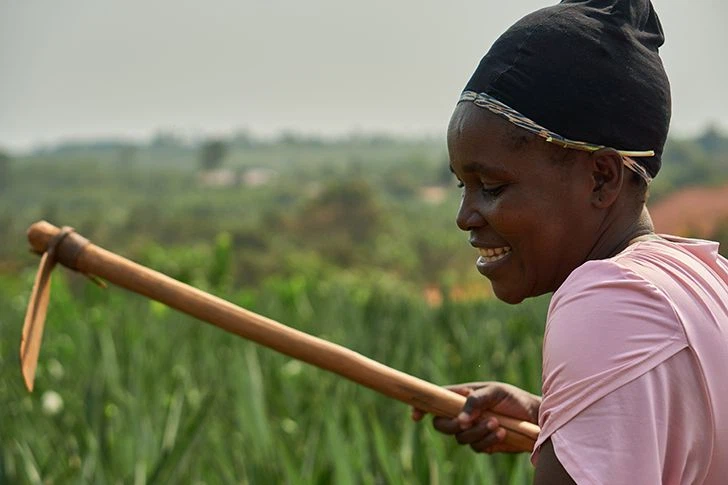 Ghanaische Ananasfarmerin bei der Ernte (©HPW)