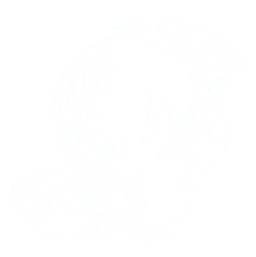 Cashew Sultaninen Schoko Mix