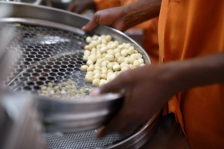 Auch das Sortieren der Bio-Macadamias ist Handarbeit (© Limbua)