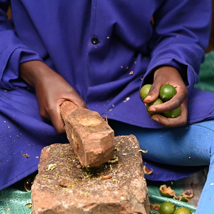 Die grüne Schale wird in Handarbeit entfernt (© Limbua)